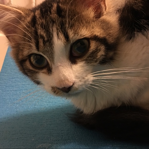 Meet Your Posher, Michelle - Picture 6 of 8